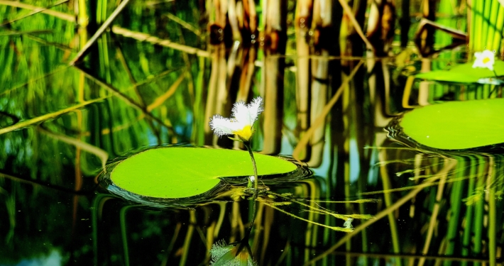 20250907 하나님의 복음을 위해 부르심 받음(이미지5)