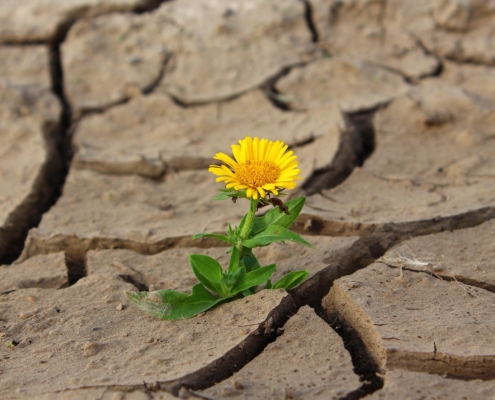 KakaoTalk_20230517_153734779_01